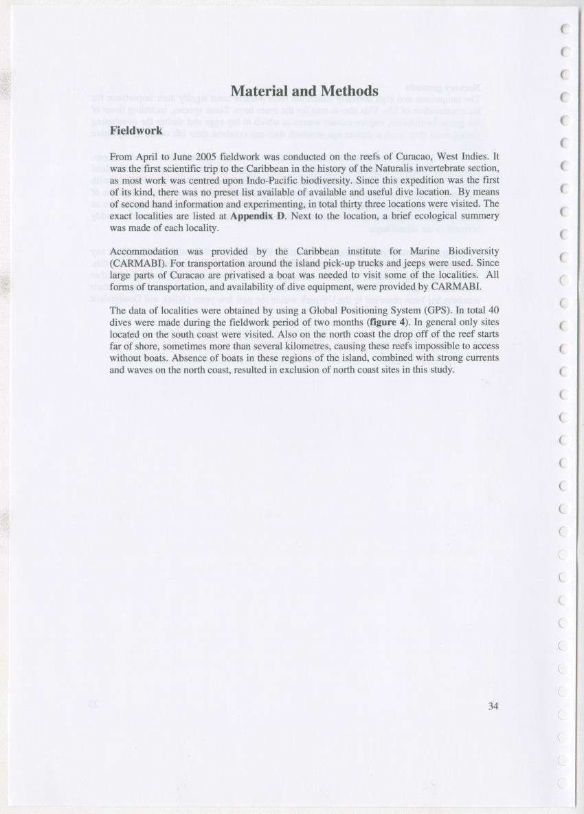 Z Ecology of Epitoniidae and Strombidae - New Page