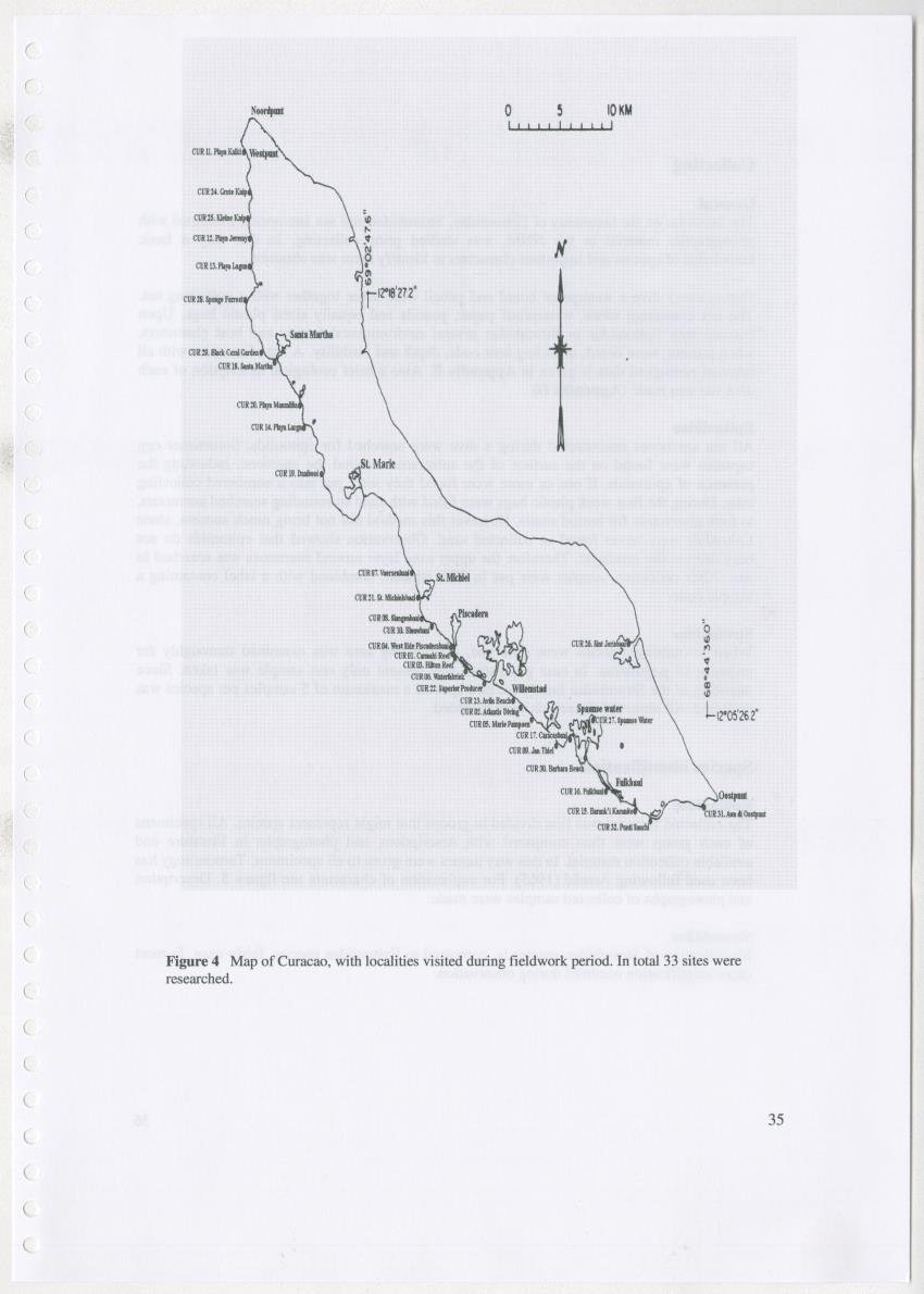 Z Ecology of Epitoniidae and Strombidae - New Page