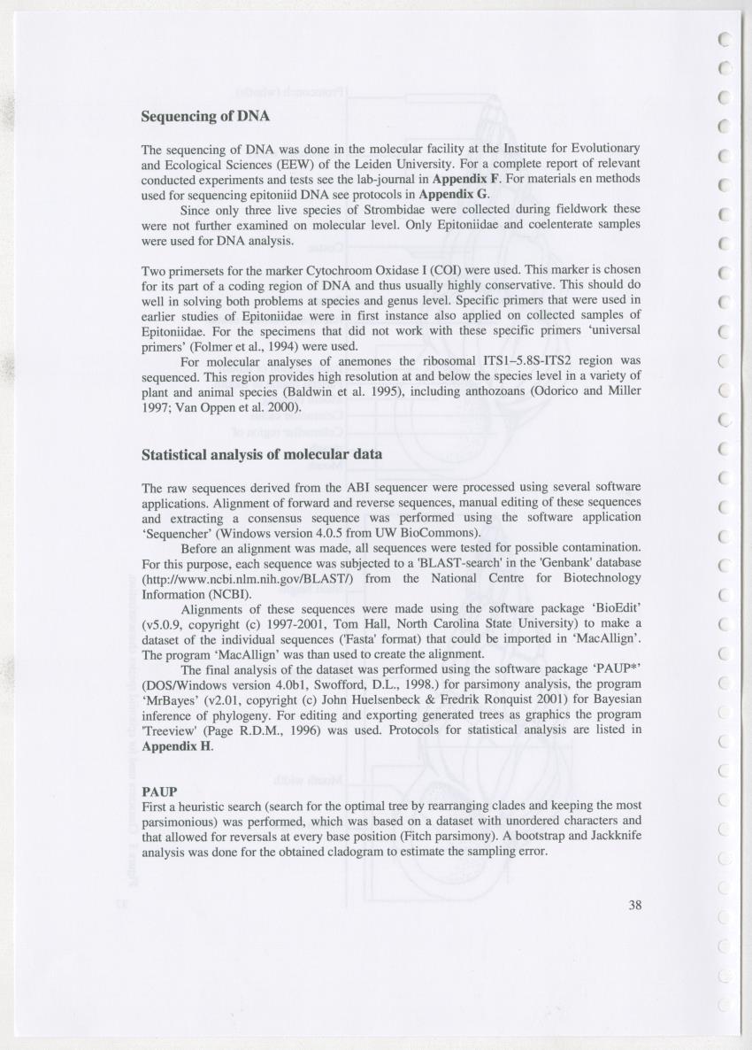 Z Ecology of Epitoniidae and Strombidae - New Page