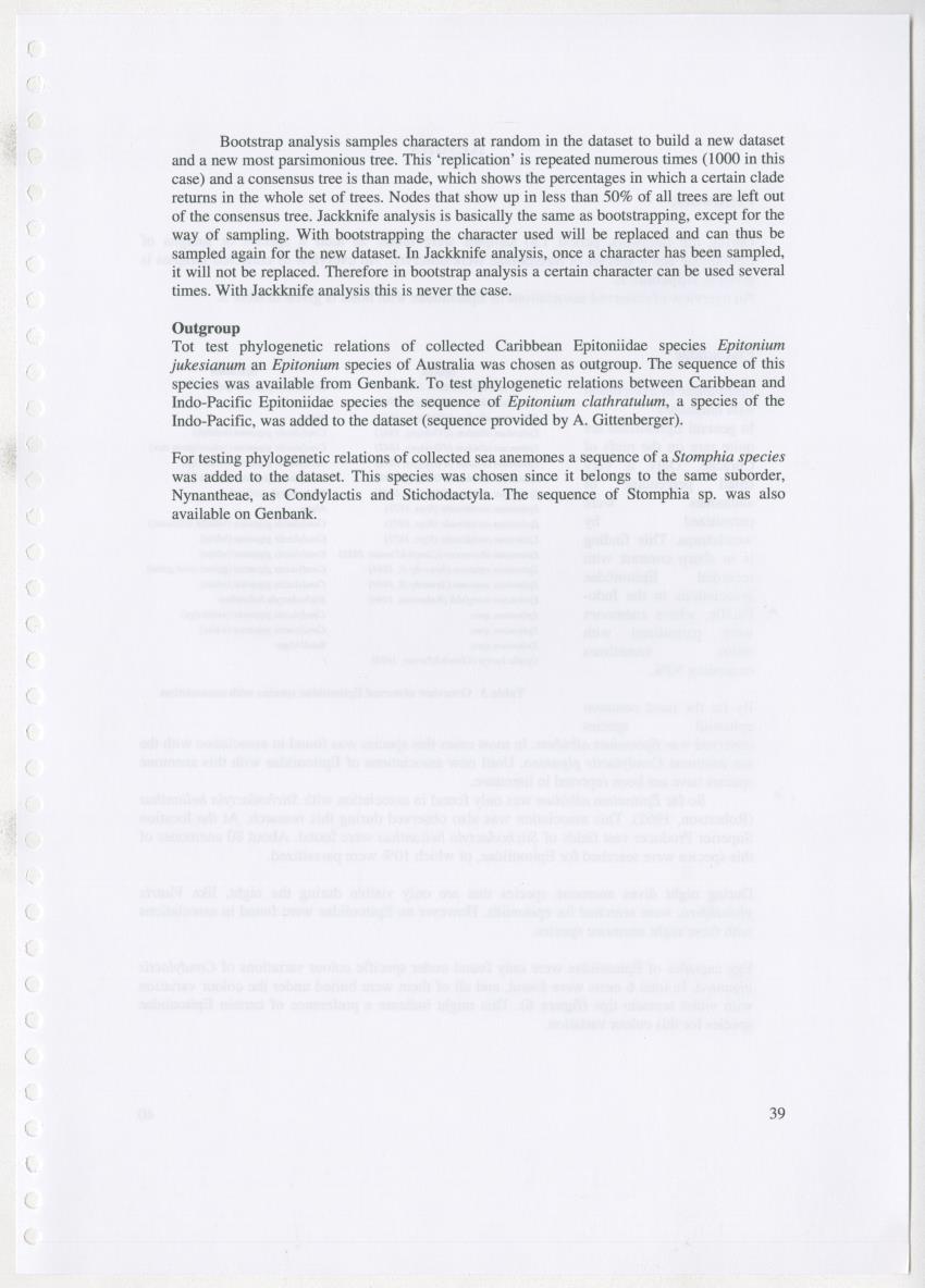 Z Ecology of Epitoniidae and Strombidae - New Page