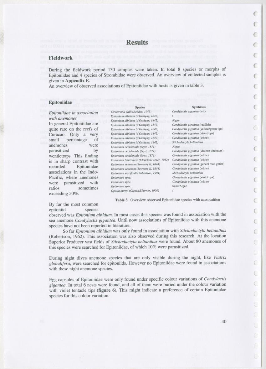 Z Ecology of Epitoniidae and Strombidae - New Page