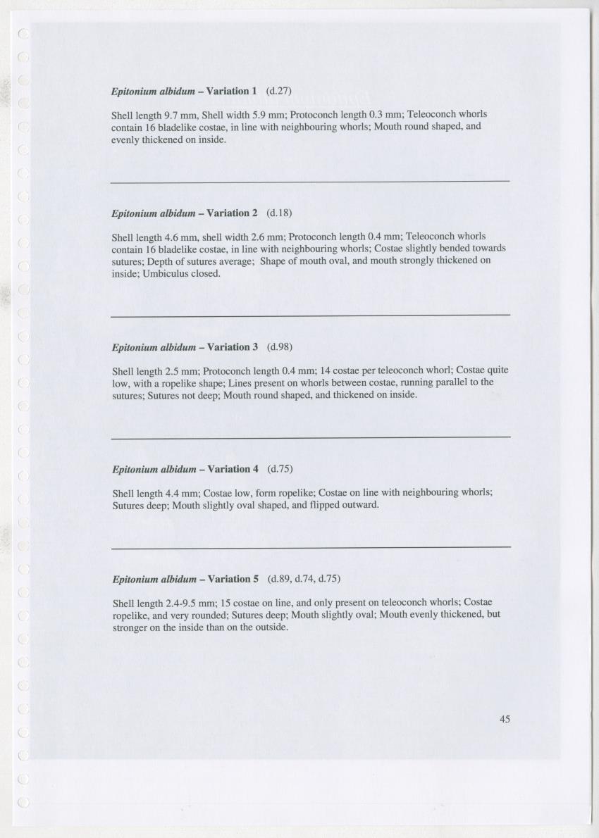 Z Ecology of Epitoniidae and Strombidae - New Page