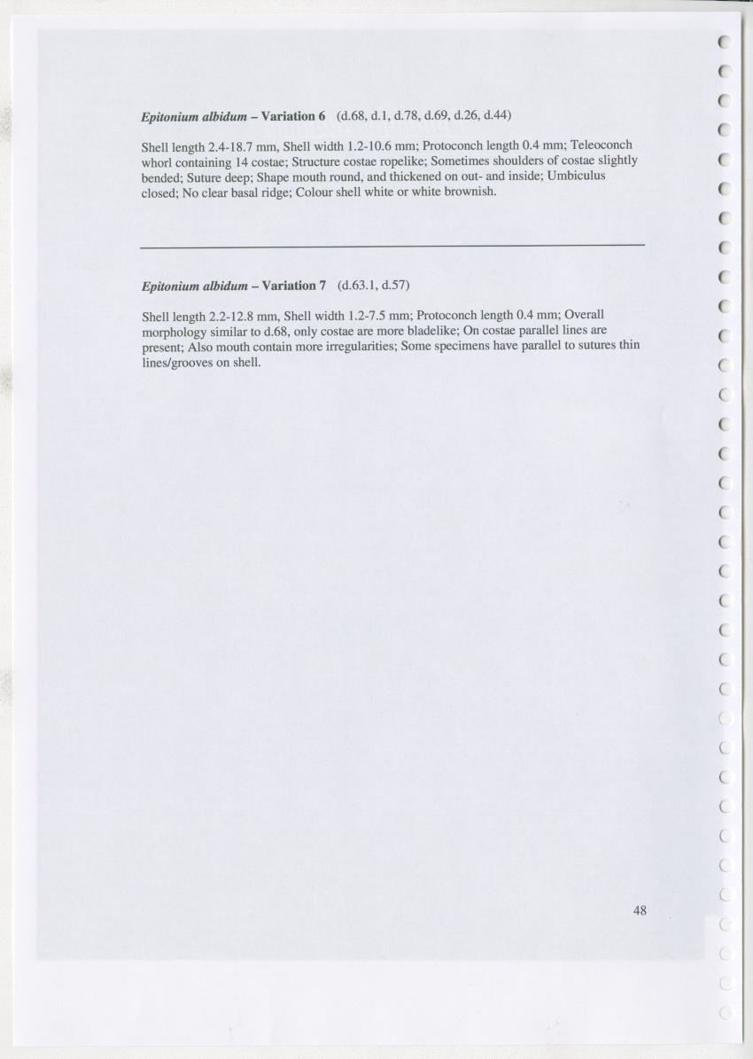 Z Ecology of Epitoniidae and Strombidae - New Page