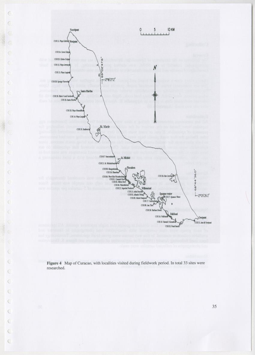 Z Ecology of Epitoniidae and Strombidae - New Page