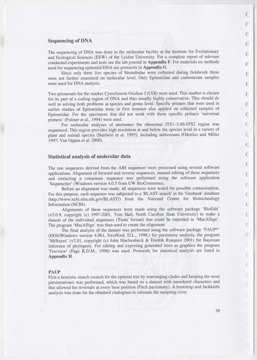 Z Ecology of Epitoniidae and Strombidae - New Page