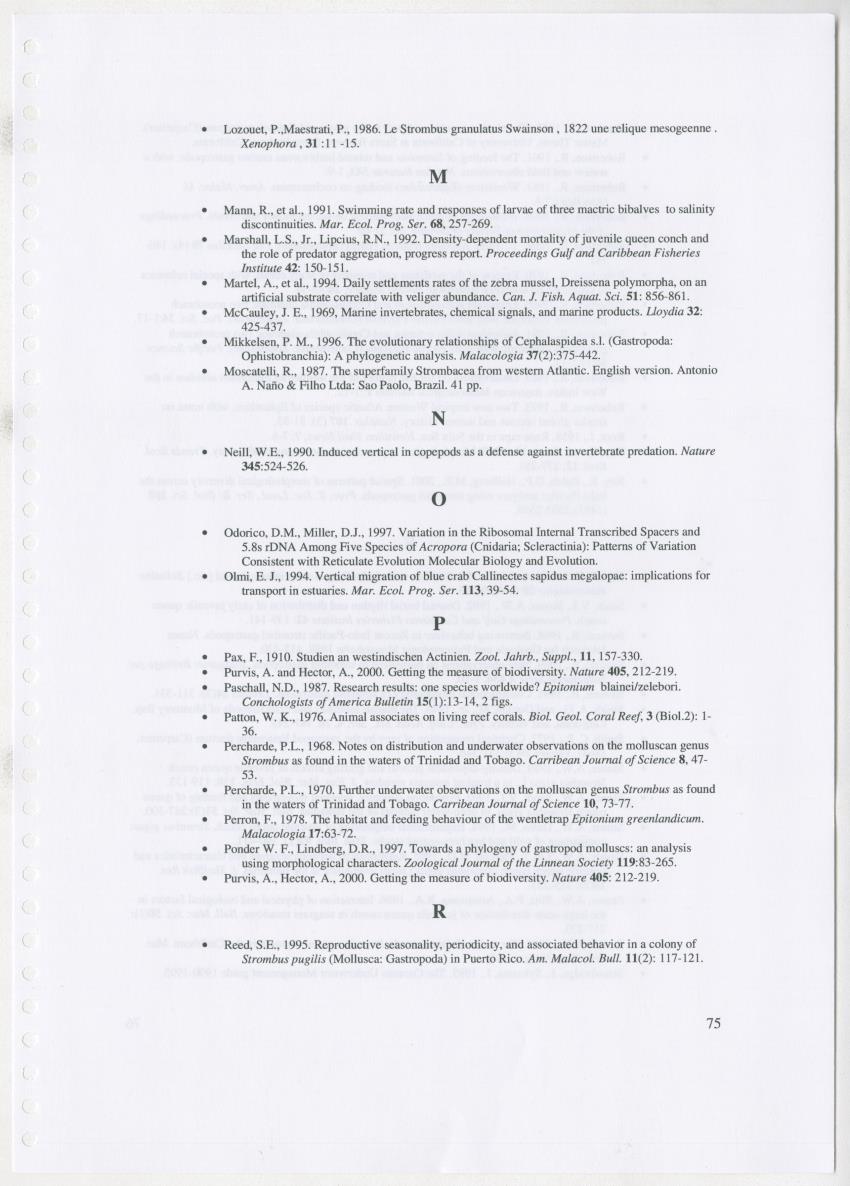 Z Ecology of Epitoniidae and Strombidae - New Page