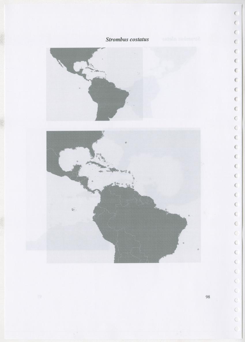 Z Ecology of Epitoniidae and Strombidae - New Page