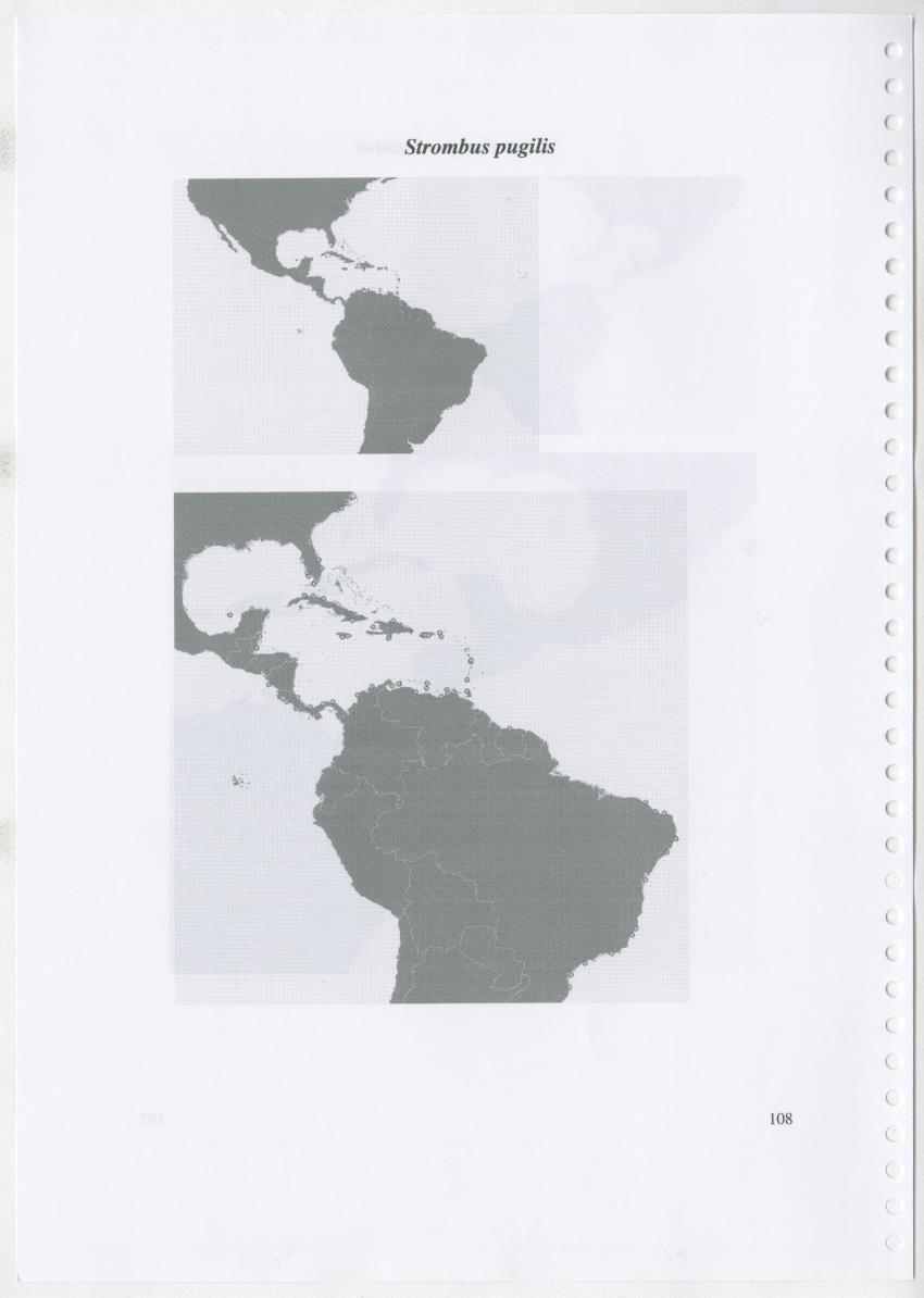 Z Ecology of Epitoniidae and Strombidae - New Page