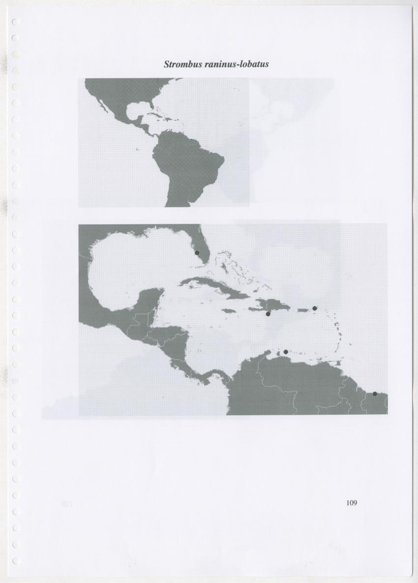 Z Ecology of Epitoniidae and Strombidae - New Page
