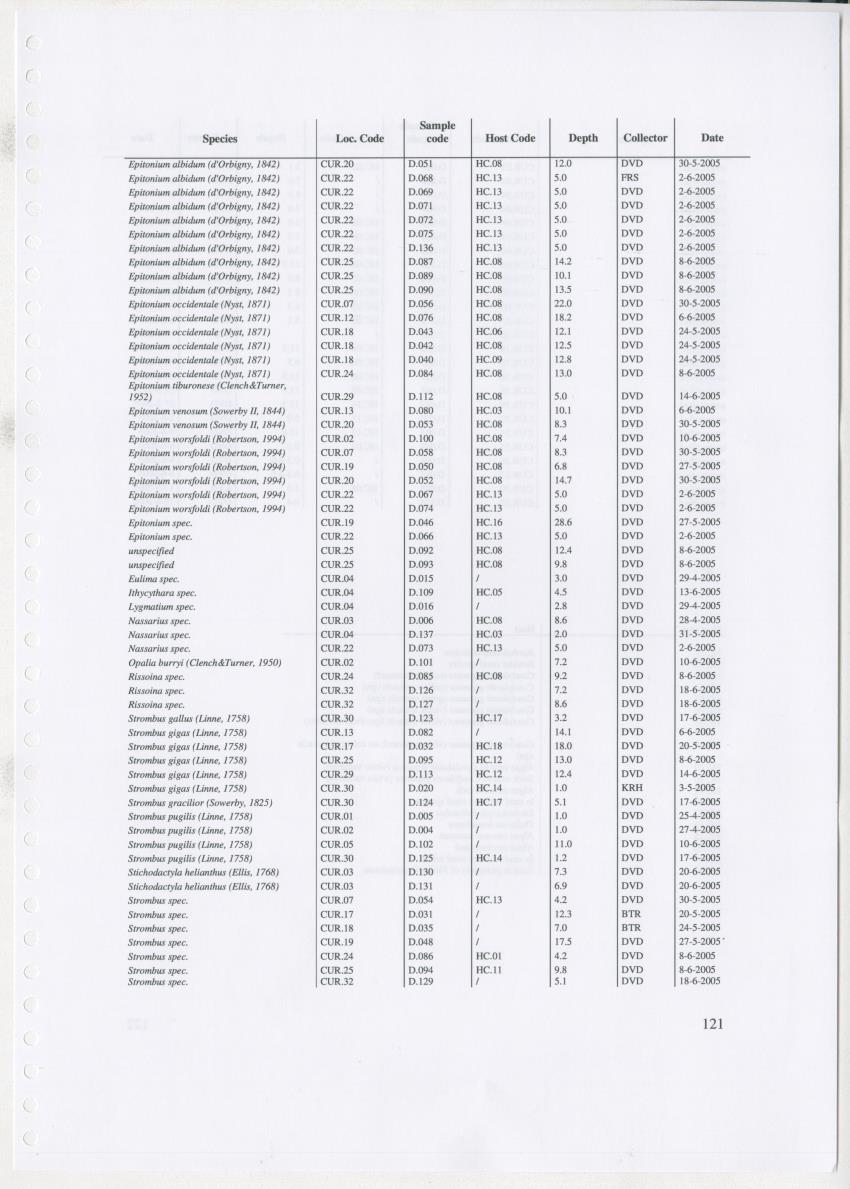 Z Ecology of Epitoniidae and Strombidae - New Page