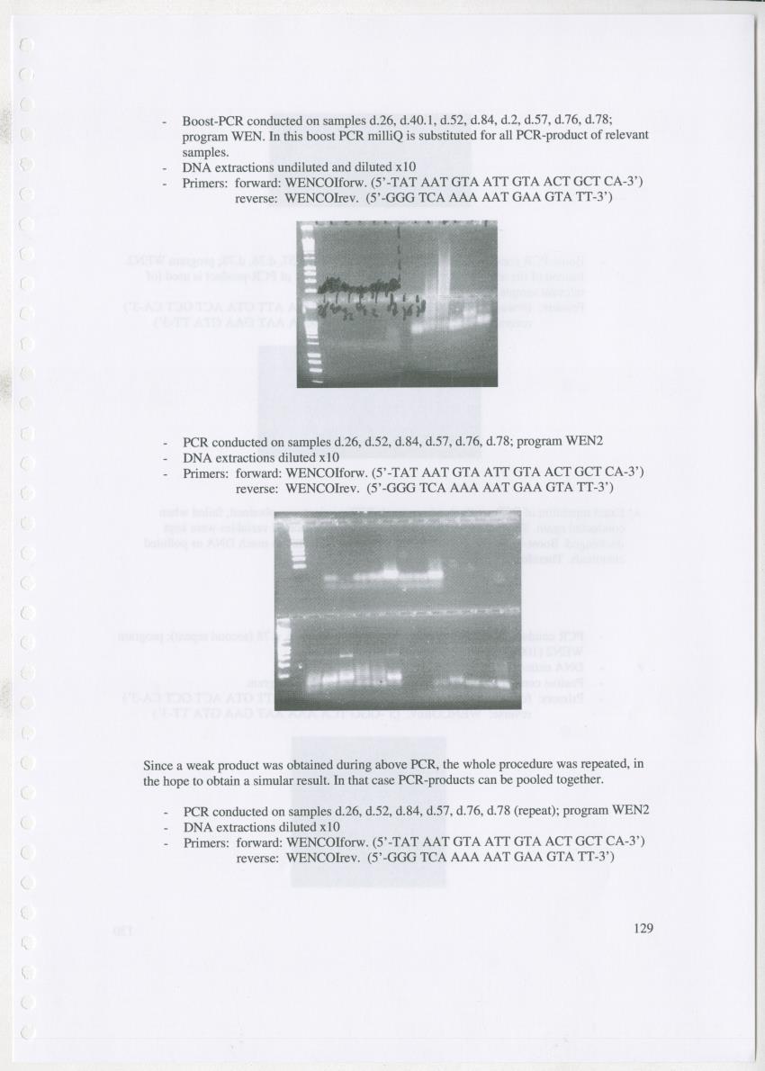Z Ecology of Epitoniidae and Strombidae - New Page