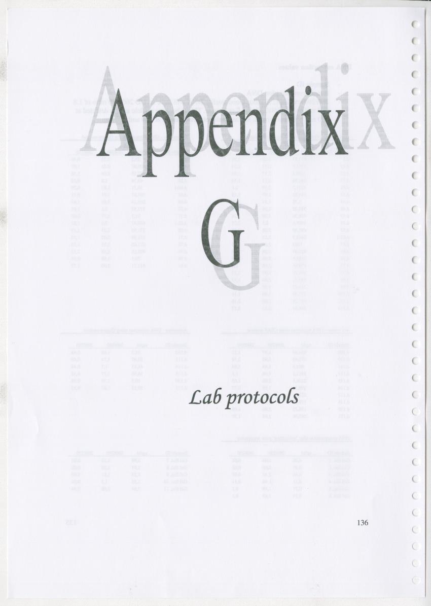 Z Ecology of Epitoniidae and Strombidae - New Page