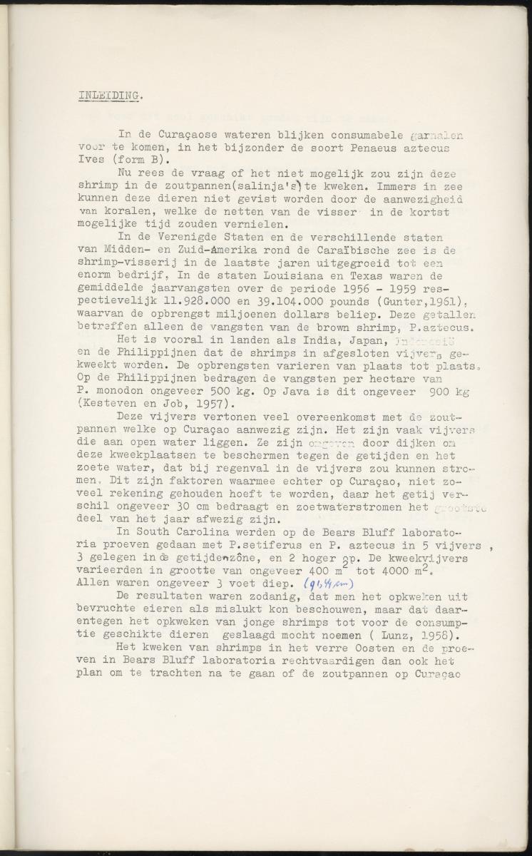 Z Garnalen kweken in oude zoutpannen - Verslag van een onderzoek naar de levenseisen van Penaeus aztecus Ives - New Page