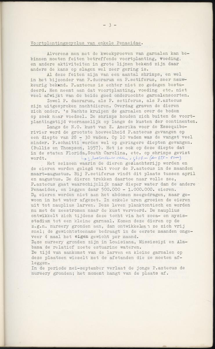 Z Garnalen kweken in oude zoutpannen - Verslag van een onderzoek naar de levenseisen van Penaeus aztecus Ives - New Page