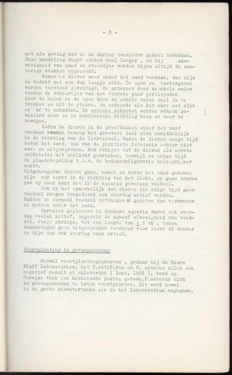 Z Garnalen kweken in oude zoutpannen - Verslag van een onderzoek naar de levenseisen van Penaeus aztecus Ives - New Page