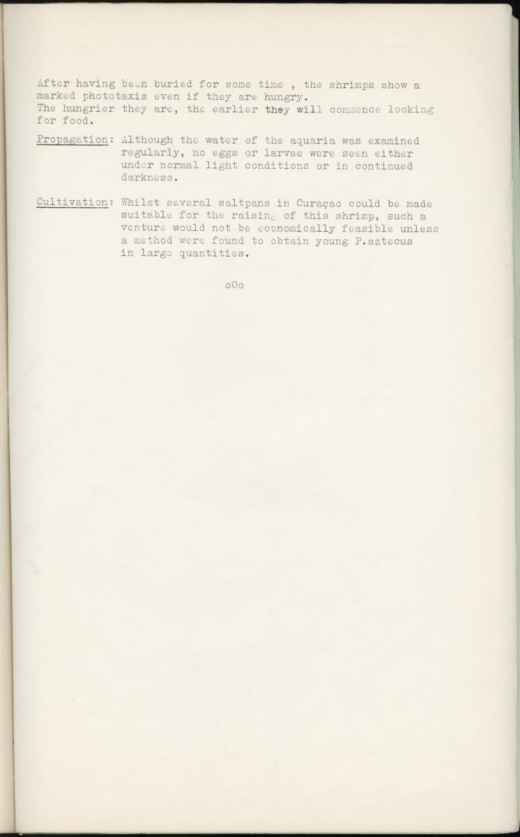 Z Garnalen kweken in oude zoutpannen - Verslag van een onderzoek naar de levenseisen van Penaeus aztecus Ives - New Page