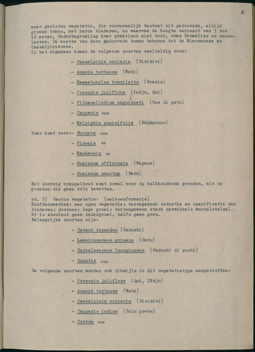 Z Het Sint Jozefsdal - New Page