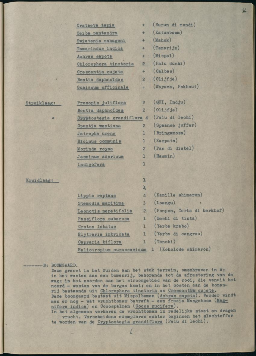 Z Het Sint Jozefsdal - New Page