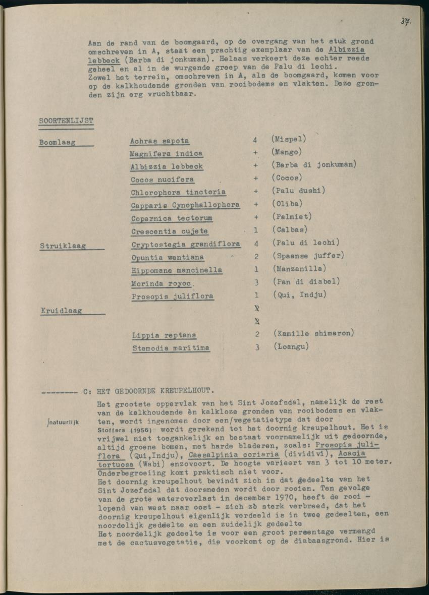 Z Het Sint Jozefsdal - New Page