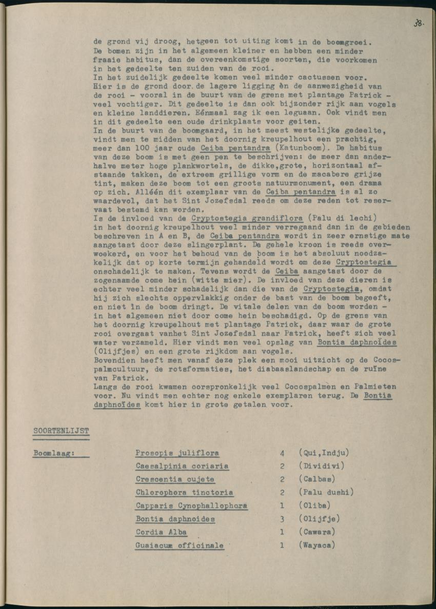 Z Het Sint Jozefsdal - New Page