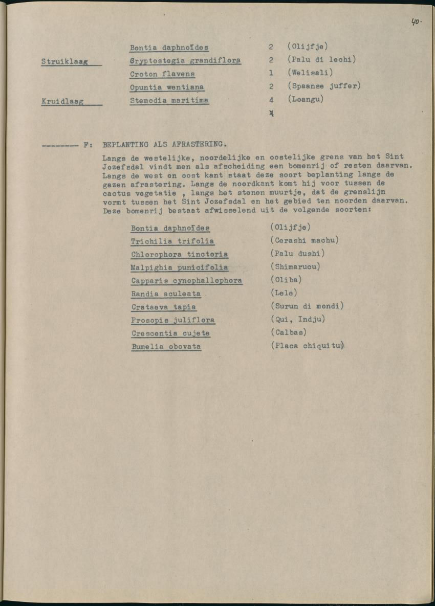 Z Het Sint Jozefsdal - New Page