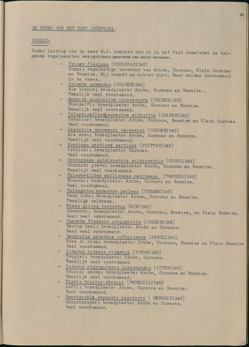 Z Het Sint Jozefsdal - New Page