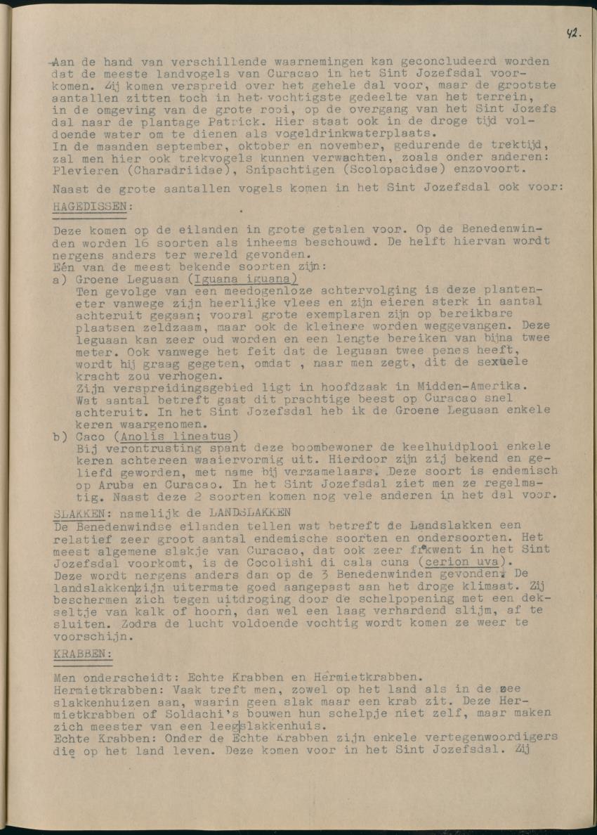 Z Het Sint Jozefsdal - New Page