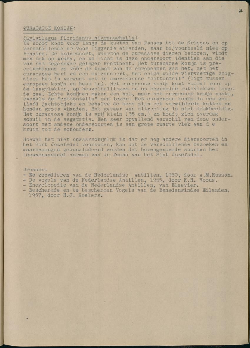 Z Het Sint Jozefsdal - New Page