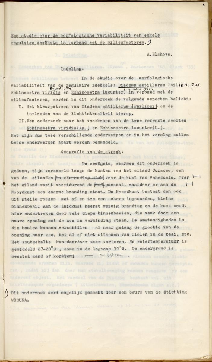Z Een studie over de morfologische variabiliteit van enkele regulaire zeeegels in verband met milieufactoren (Diadema & Echinometra) - New Page