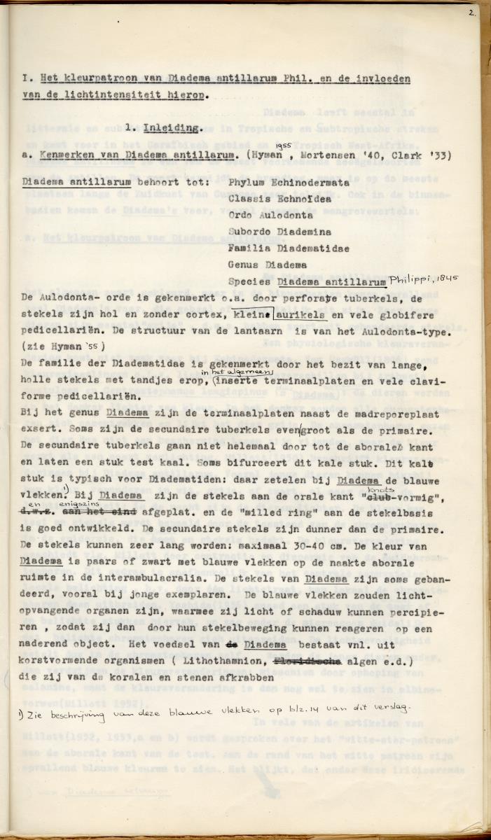 Z Een studie over de morfologische variabiliteit van enkele regulaire zeeegels in verband met milieufactoren (Diadema & Echinometra) - New Page