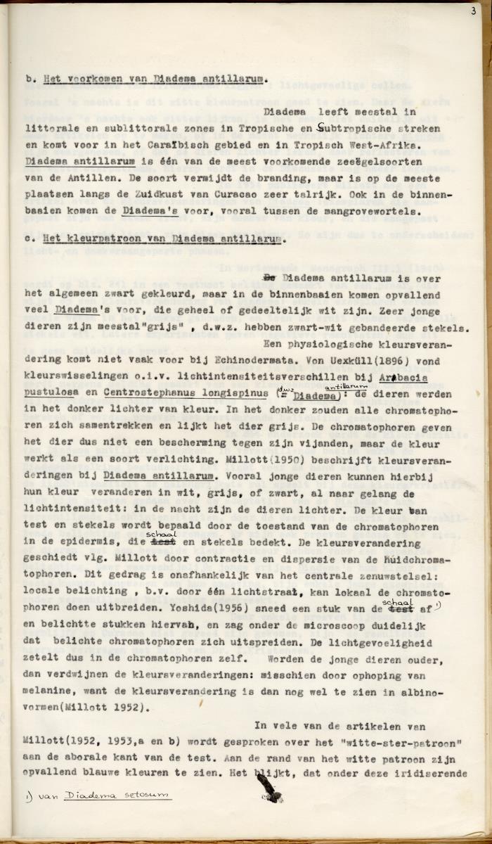 Z Een studie over de morfologische variabiliteit van enkele regulaire zeeegels in verband met milieufactoren (Diadema & Echinometra) - New Page