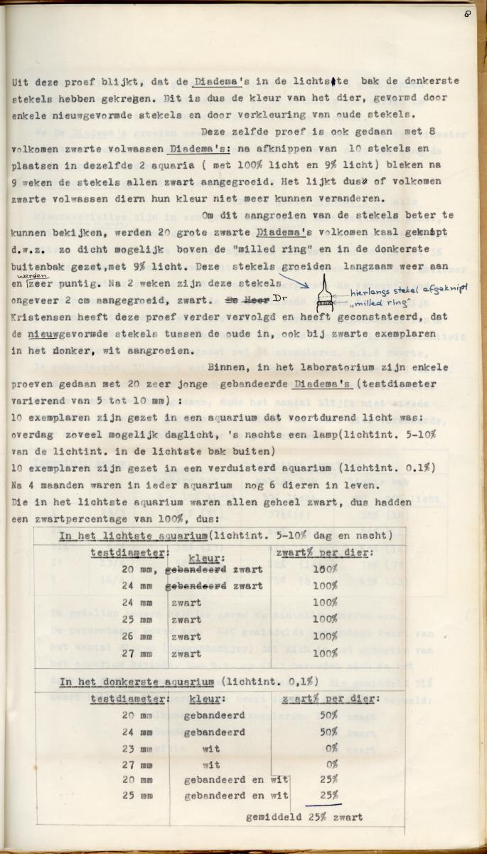 Z Een studie over de morfologische variabiliteit van enkele regulaire zeeegels in verband met milieufactoren (Diadema & Echinometra) - New Page