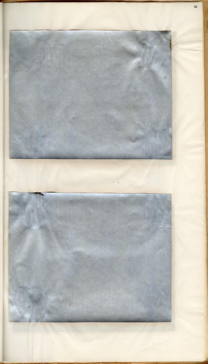 Z Een studie over de morfologische variabiliteit van enkele regulaire zeeegels in verband met milieufactoren (Diadema & Echinometra) - New Page