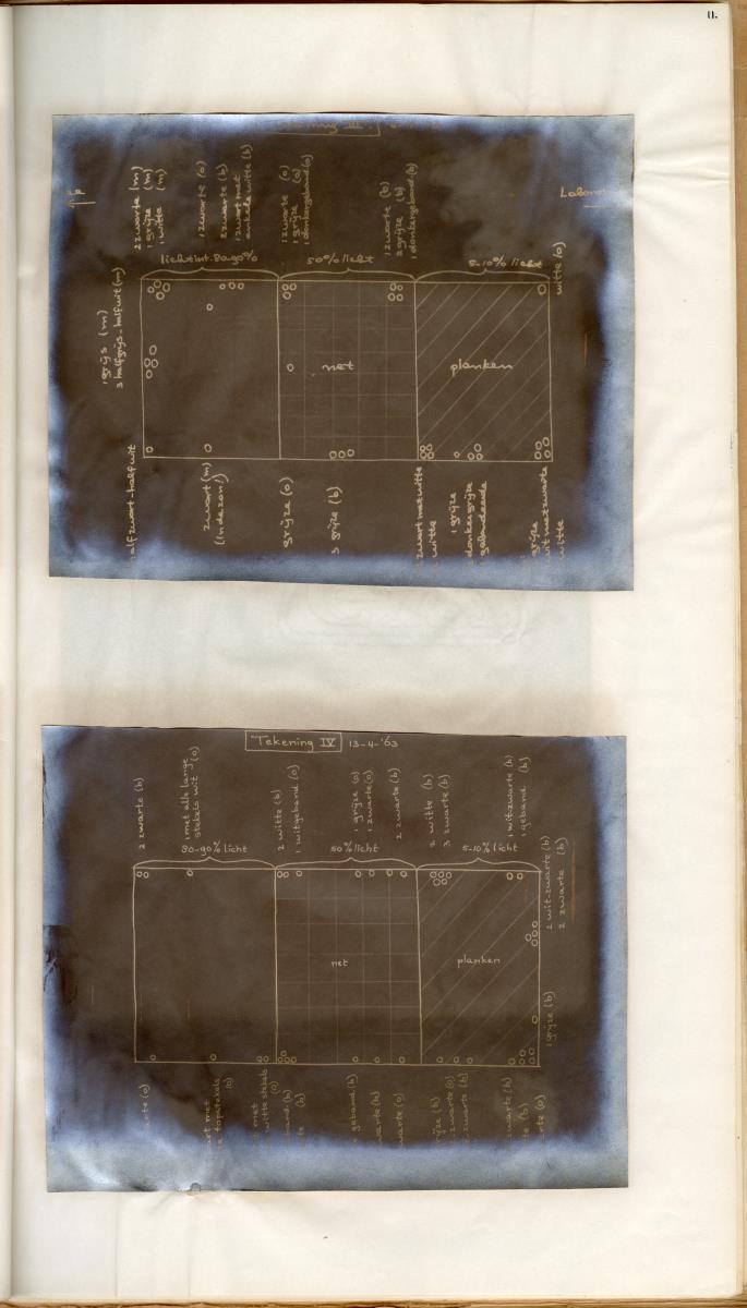 Z Een studie over de morfologische variabiliteit van enkele regulaire zeeegels in verband met milieufactoren (Diadema & Echinometra) - New Page