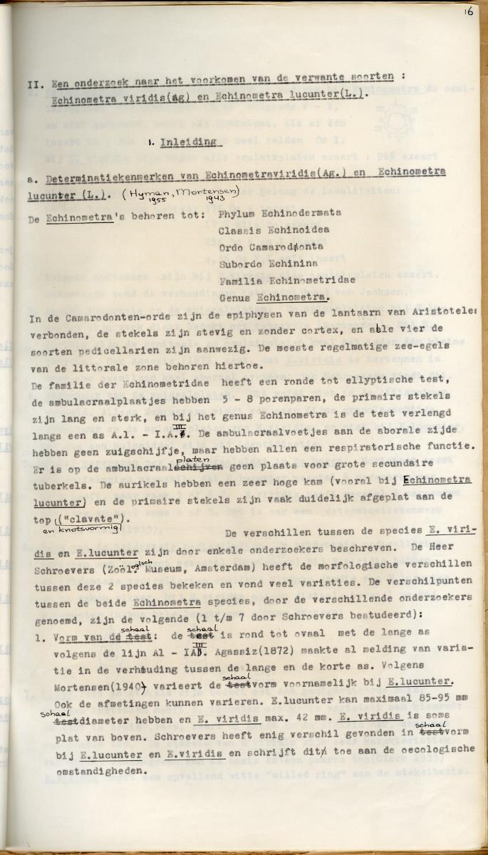 Z Een studie over de morfologische variabiliteit van enkele regulaire zeeegels in verband met milieufactoren (Diadema & Echinometra) - New Page