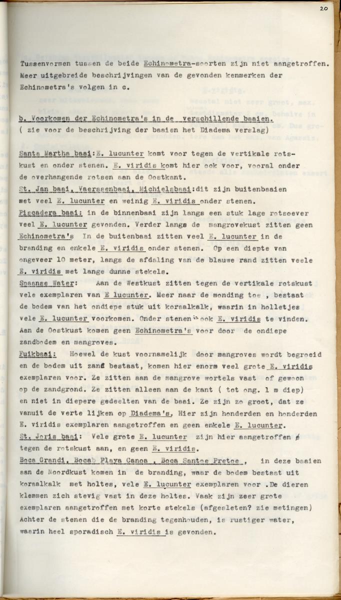 Z Een studie over de morfologische variabiliteit van enkele regulaire zeeegels in verband met milieufactoren (Diadema & Echinometra) - New Page