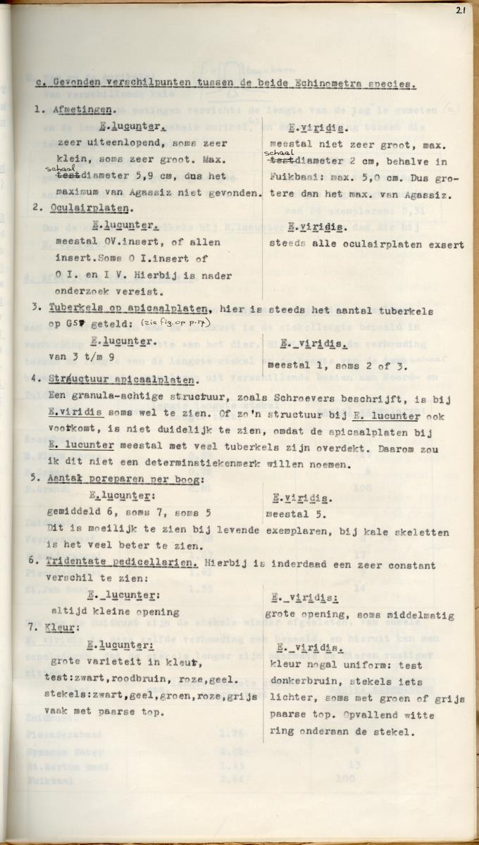 Z Een studie over de morfologische variabiliteit van enkele regulaire zeeegels in verband met milieufactoren (Diadema & Echinometra) - New Page