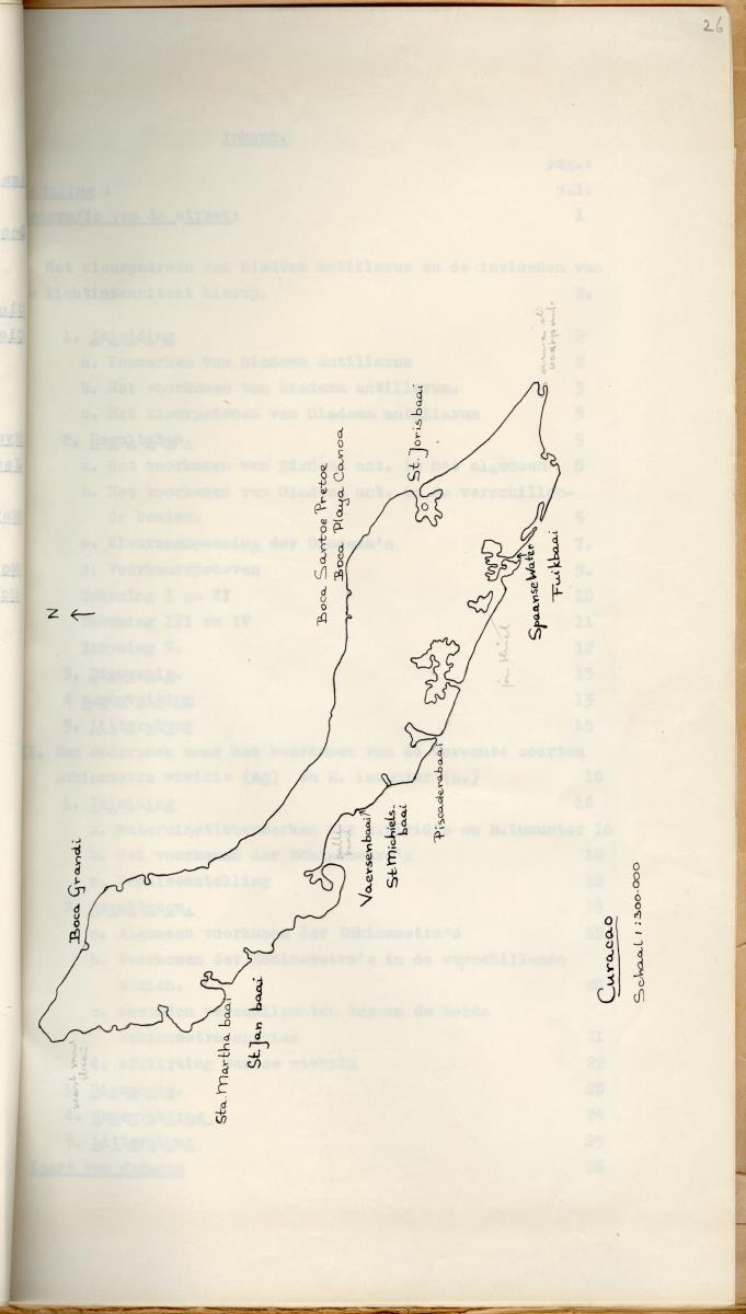 Z Een studie over de morfologische variabiliteit van enkele regulaire zeeegels in verband met milieufactoren (Diadema & Echinometra) - New Page