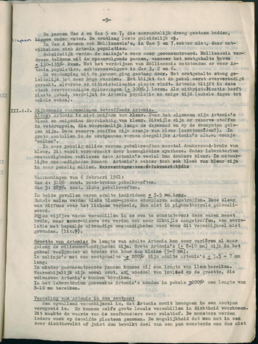 Z Verslag van het onderzoek naar de ecologie van Artemia salina op Curacao en Bonaire - New Page