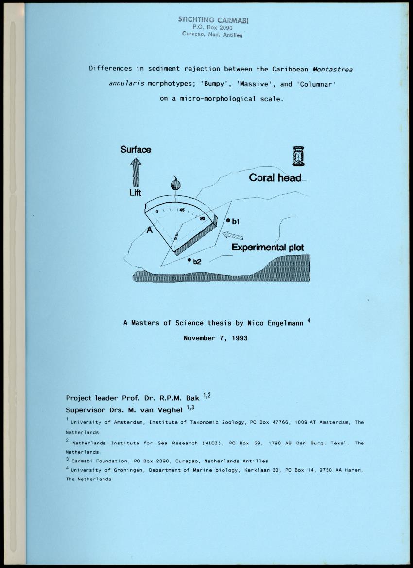 Z Differences in sediment rejection between the Caribbean Montastrea annularis morphotypes; 'Bumpy', "Massive' and 'Columnar' on a micro-morphological scale - New Page