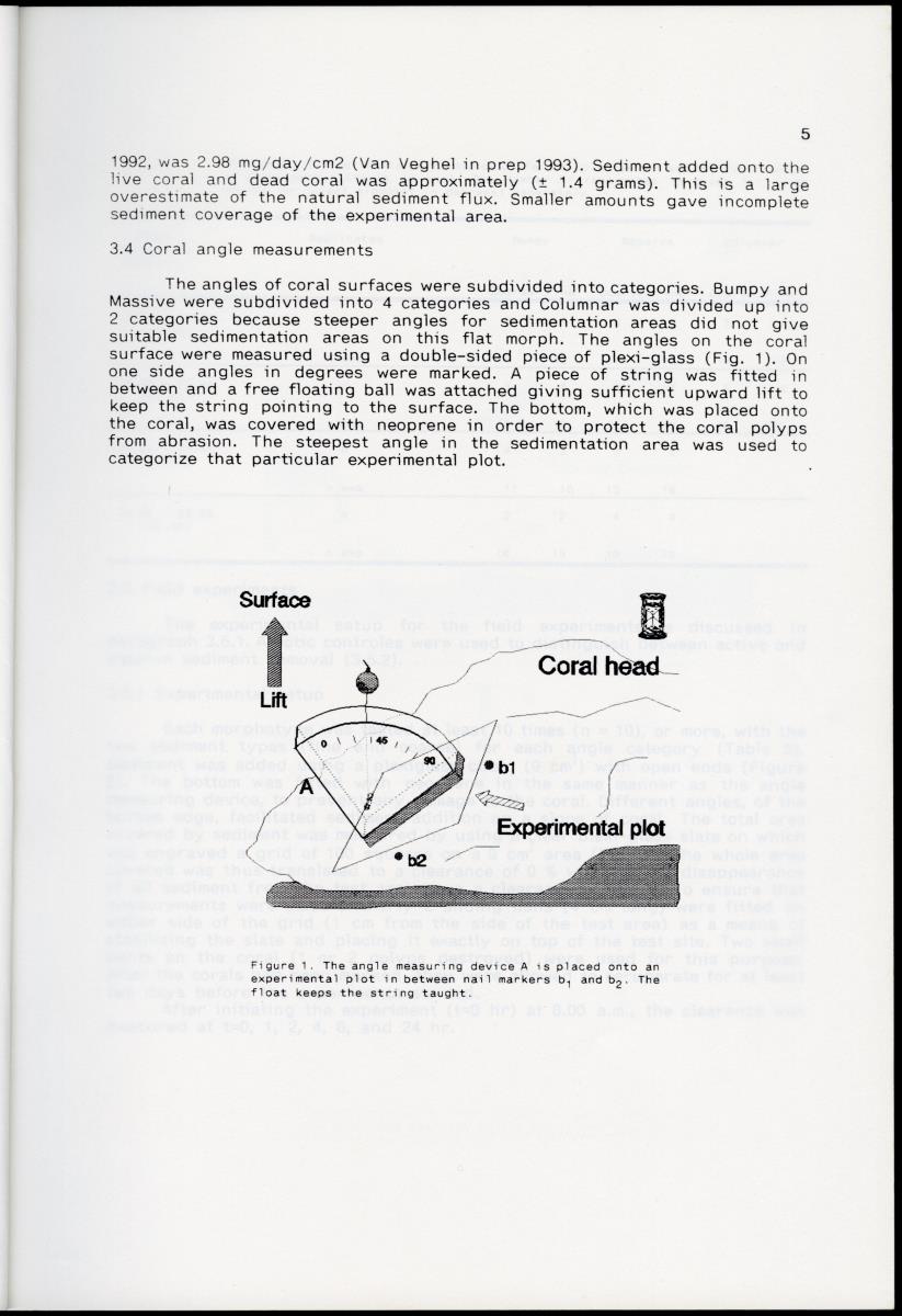 Z Differences in sediment rejection between the Caribbean Montastrea annularis morphotypes; 'Bumpy', "Massive' and 'Columnar' on a micro-morphological scale - New Page