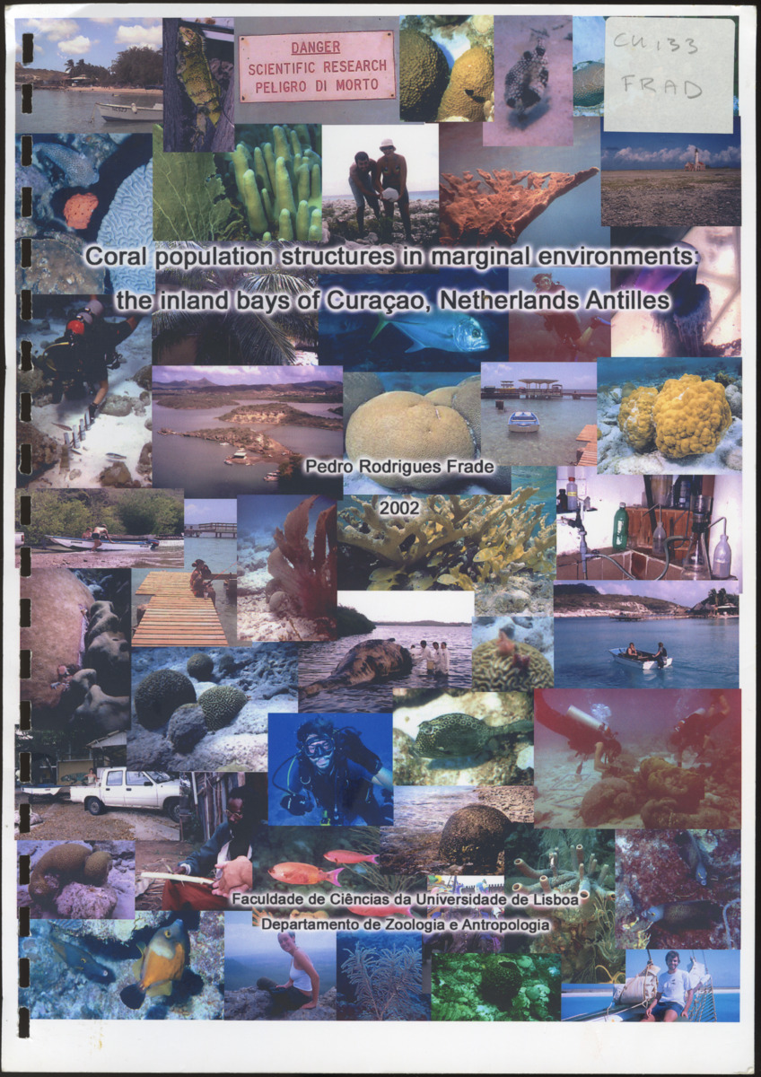 Coral population structures in marfinal environments: the inland bays of Curacao, Netherlands Antilles - New Page