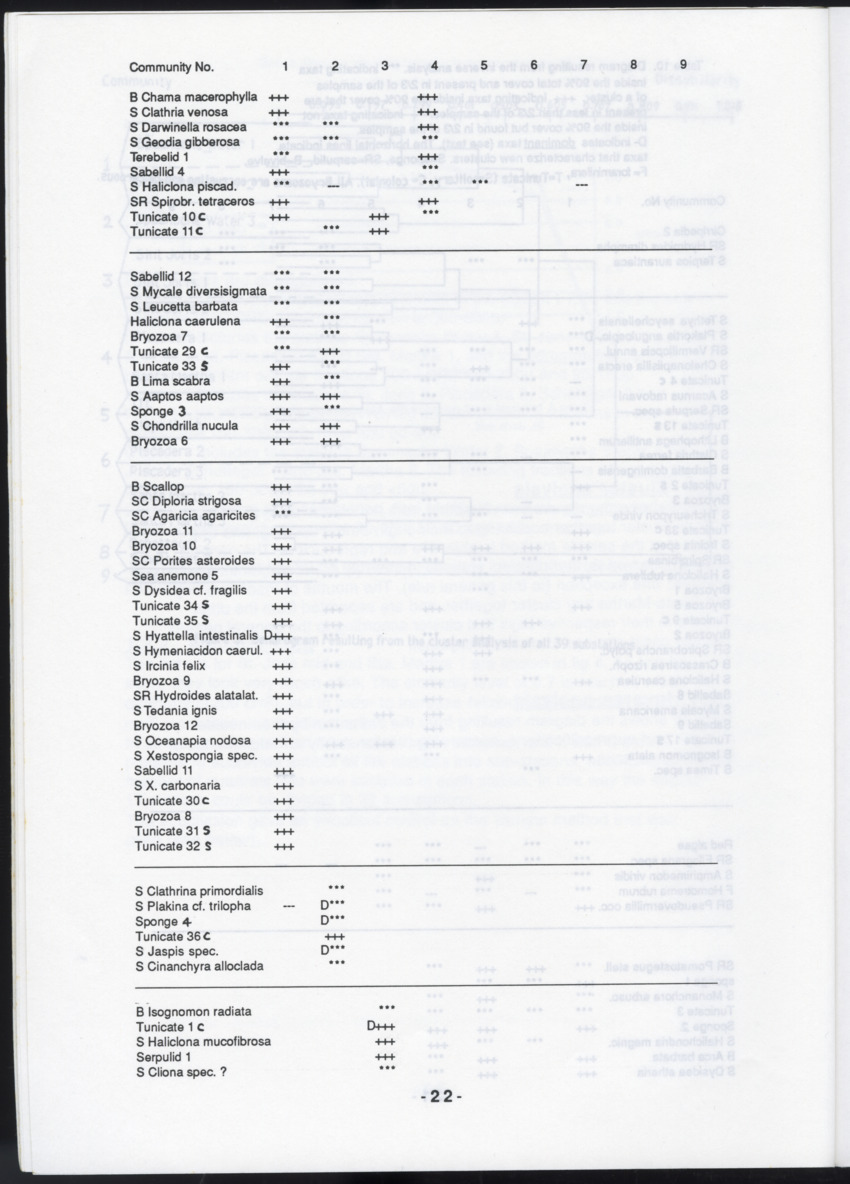 Z "I. Cryptic communities of sublittoral hard substrate in relation to abiotic parameters at some inner bays of Curacao  II. The effect of suspended sediment on two species of serpulid tube-worms" - New Page