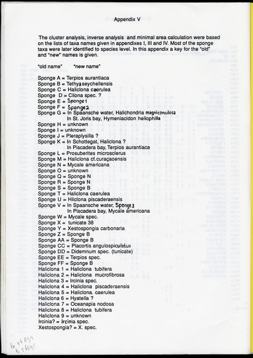 Z "I. Cryptic communities of sublittoral hard substrate in relation to abiotic parameters at some inner bays of Curacao  II. The effect of suspended sediment on two species of serpulid tube-worms" - New Page