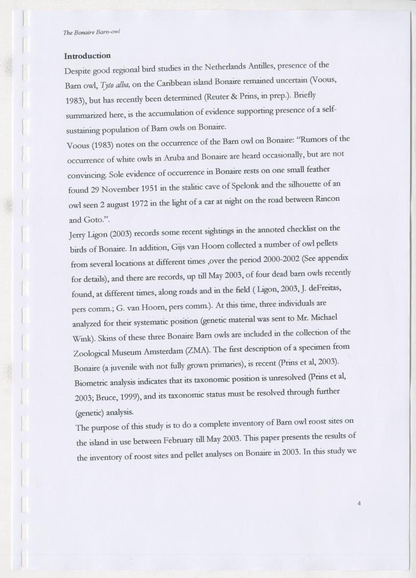 Z The Bonaire Barn-owl (Tyto alba): the first survey of roost sites and diet on Bonaire (an arid southern Caribbean island) - New Page