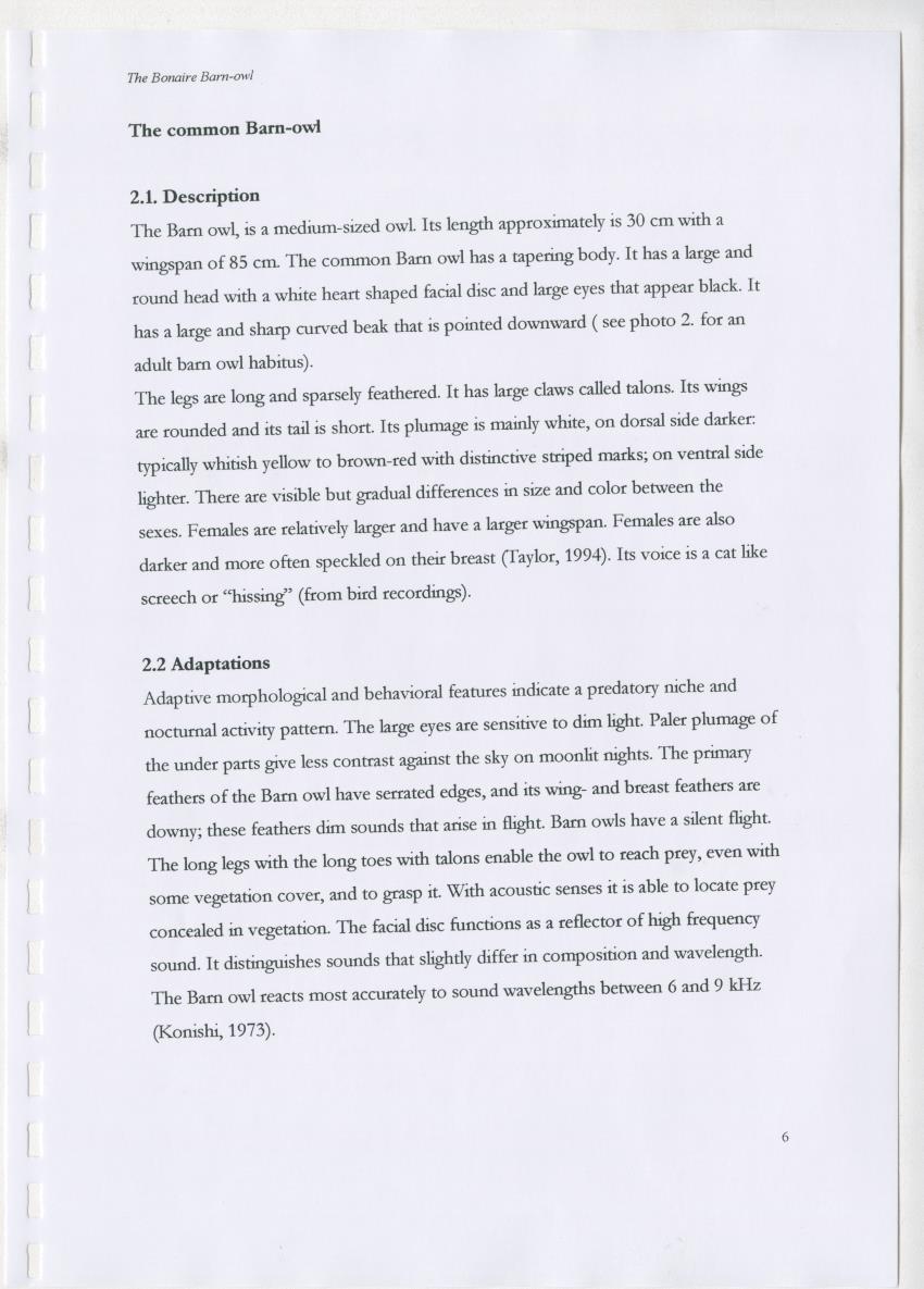 Z The Bonaire Barn-owl (Tyto alba): the first survey of roost sites and diet on Bonaire (an arid southern Caribbean island) - New Page