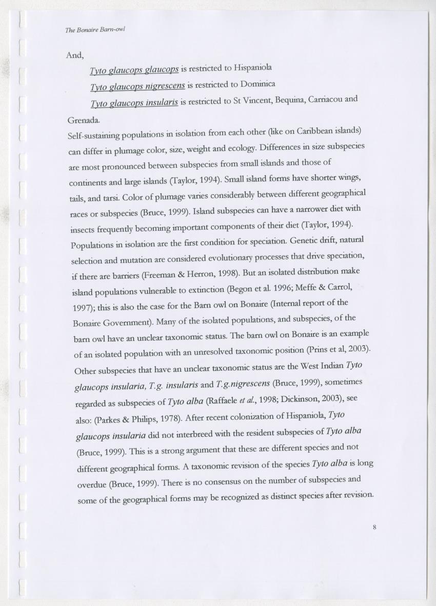 Z The Bonaire Barn-owl (Tyto alba): the first survey of roost sites and diet on Bonaire (an arid southern Caribbean island) - New Page