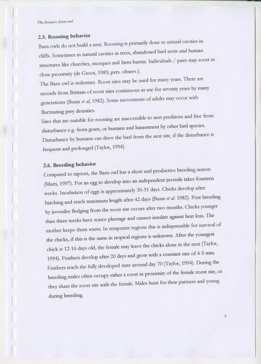 Z The Bonaire Barn-owl (Tyto alba): the first survey of roost sites and diet on Bonaire (an arid southern Caribbean island) - New Page