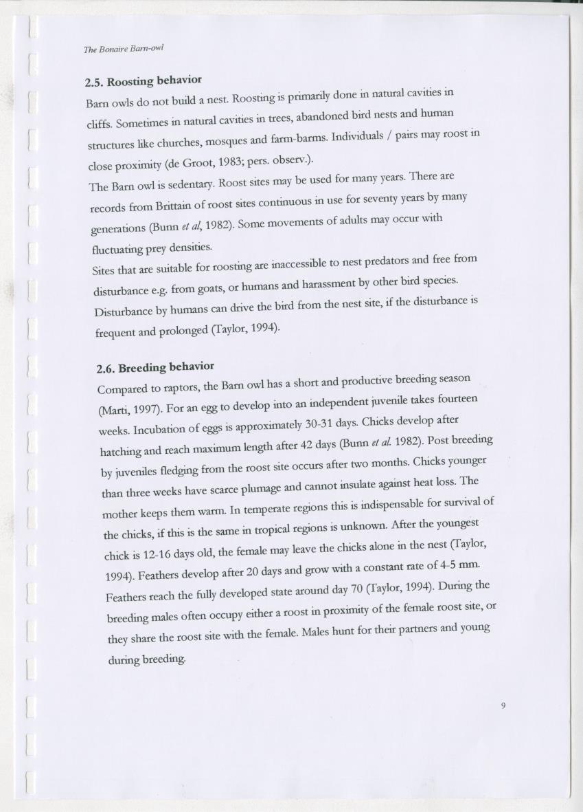Z The Bonaire Barn-owl (Tyto alba): the first survey of roost sites and diet on Bonaire (an arid southern Caribbean island) - New Page