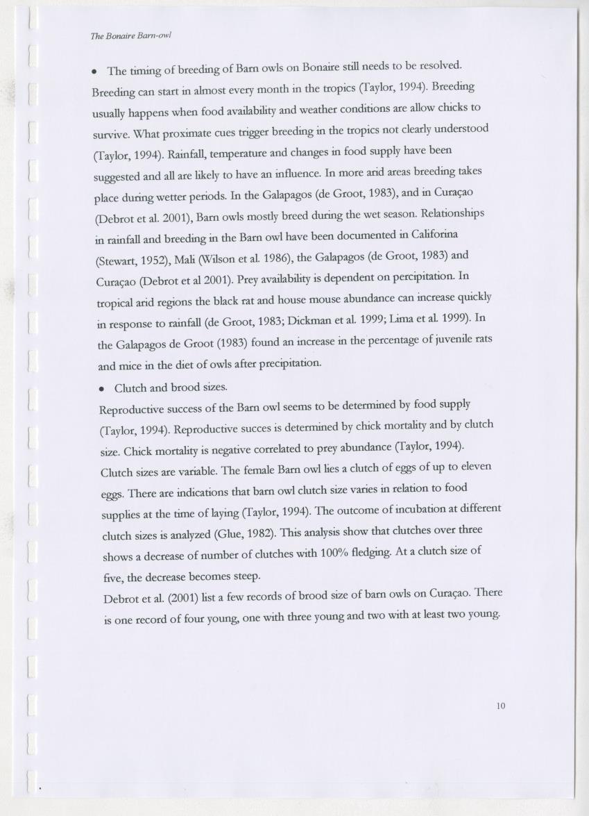 Z The Bonaire Barn-owl (Tyto alba): the first survey of roost sites and diet on Bonaire (an arid southern Caribbean island) - New Page